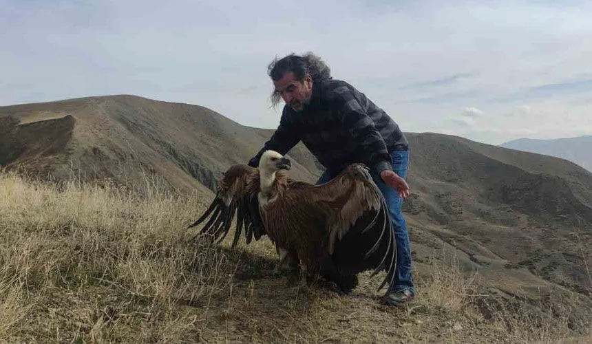 Van'da Tedavi Edilen Kaya Kartalı ve Kızıl Akbaba Doğaya Salındı
