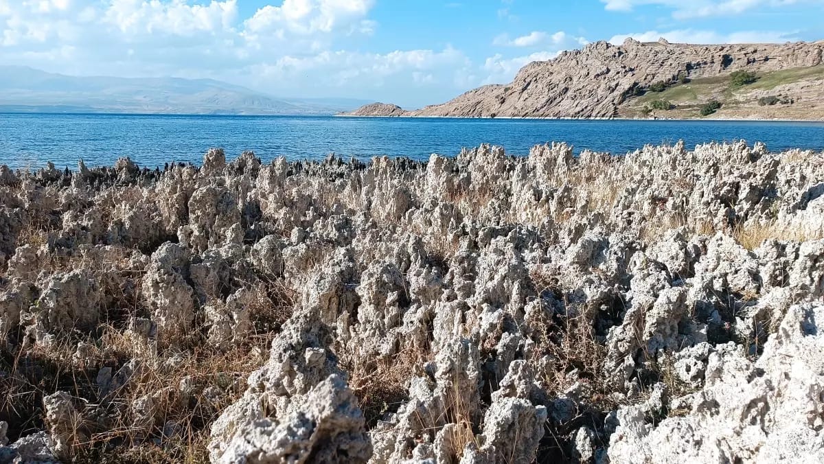Van Gölü’nün Çekilen Suları, Mikrobiyalitleri Ortaya Çıkardı!