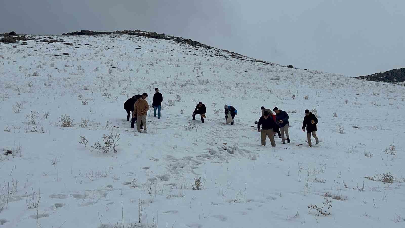 Van'da Gönüllülerden Yaban Hayatına Destek