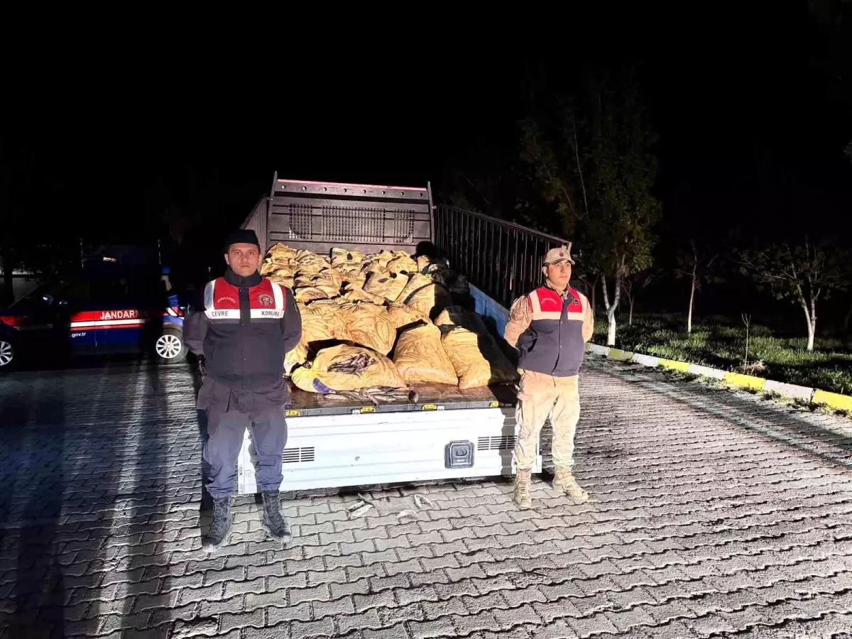 Van’da Kaçak İnci Kefali Avına Geçit Yok! 15 Kişiye 216 Bin TL Ceza
