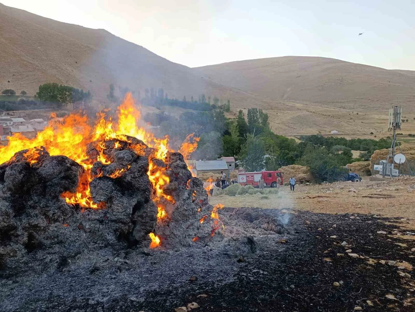 Gevaş’ta ot yığını yangını korkuttu