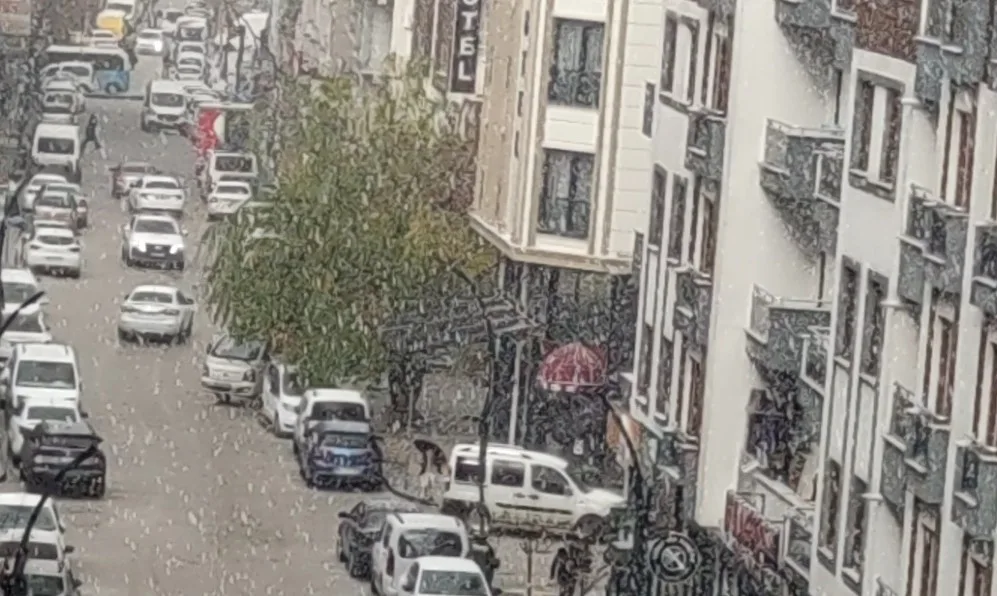 Van’da Kısa Süreli Dolu Yağdı
