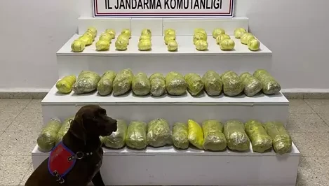 Başkale Kırsalında 42 Kilo Uyuşturucu Ele Geçirildi