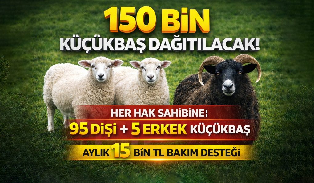 Van ve 80 İlde 150 Bin Küçükbaş Hayvan Dağıtılacak