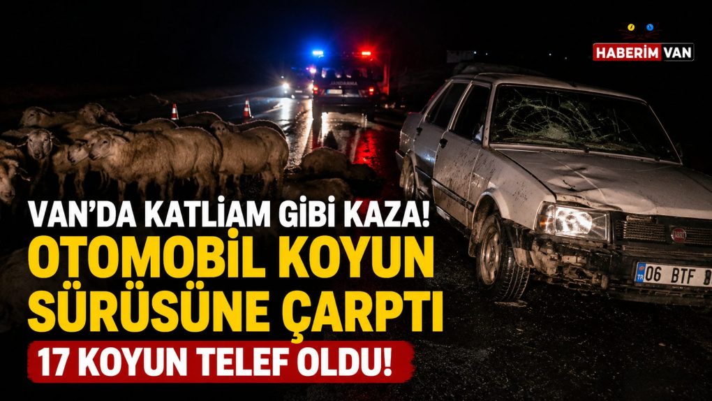 Van'da Gece Yarısı Korkutan Kaza! Koyun Sürüsüne Daldı